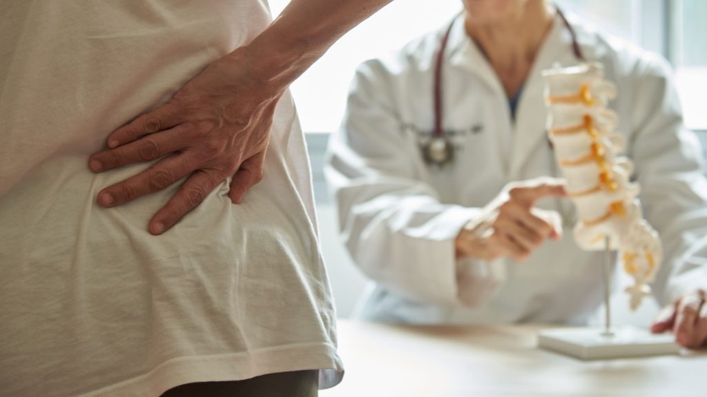 Physician explaining model of spine to patient