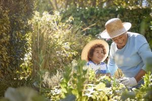 Grandparent and child gardening